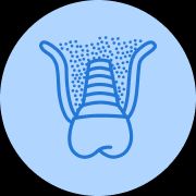 Bone Graft